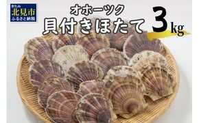 オホーツク貝付きほたて 3kg(15枚～25枚)( 海鮮 魚介 魚介類 貝 貝類 ホタテ ほたて 帆立 殻付き 貝柱 贈答 ギフト 贈り物 お中元 お祝い BBQ バーベキュー )【031-0003-2024】