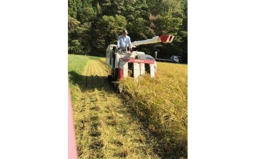 393. 【令和6年度新米】八百津で採れた新米コシヒカリ5㎏＆もち米3kgセット