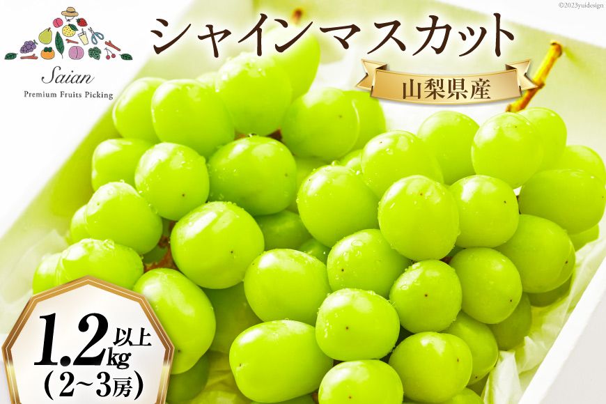 [2025年発送]シャインマスカット 約1.2〜1.3kg (2〜3房) [斎庵 山梨県 韮崎市 20742797] 果物 フルーツ 山梨 ぶどう マスカット ブドウ 葡萄 種なし 期間限定 季節限定 冷蔵