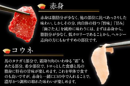 贅沢バラエティセット 540g 千興ファーム 馬肉 冷凍 《60日以内に出荷予定(土日祝除く)》 新鮮 さばきたて 生食用 肉 熊本県御船町 馬刺し 馬肉 惣菜 希少部位---sm_fsenzibr_60d_23_13500_540g---