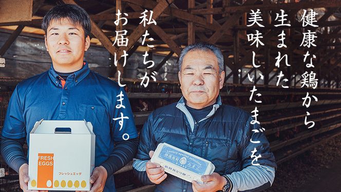 鶏卵 30個 ( 26個 + 破損補償分 4個 ) 卵 たまご 玉子 ふるさと納税 7000円 茨城県 八千代町 [CZ001ya]