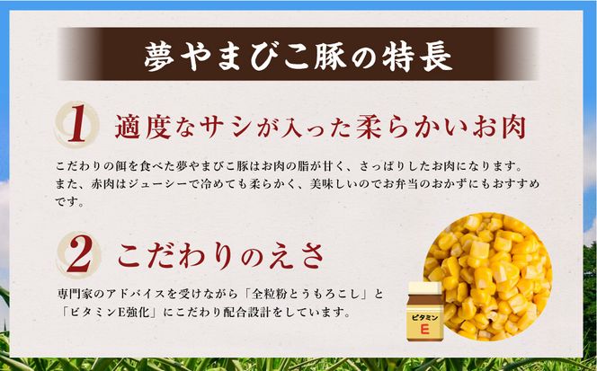 夢やまびこ豚 詰め合せ セット 1.7kg 4種類 (ロースかつ・肩ローススライス・バラスライス・モモスライス) 肉 お肉 豚肉