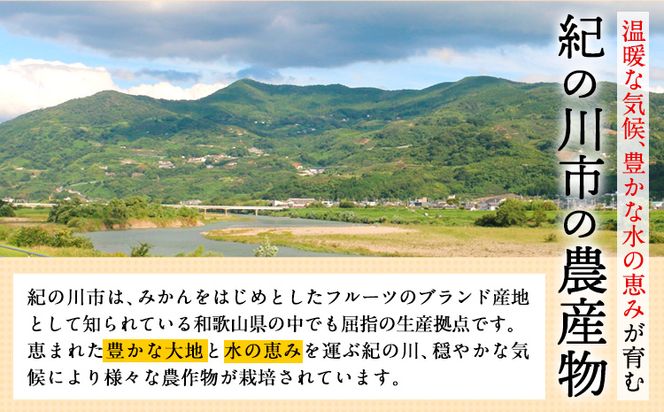 【訳あり/ご家庭用】はっさく 八朔 4kg＋1kg  計約5kg サンファーム《1月上旬-3月末頃より出荷予定》和歌山県 紀の川市 ご家庭用---wsk_saf7_ac13_23_7000_5kg---