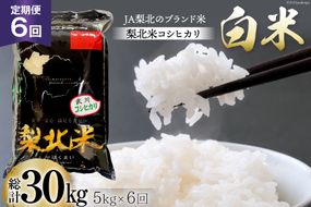 【定期便】【6回 米 定期便 】 武川米 コシヒカリ 5kg×6回 総計30kg [梨北農業協同組合 山梨県 韮崎市 20743672] こしひかり お米 おこめ こめ コメ 精米 30キロ ご飯 ごはん 白米 国産 JA梨北