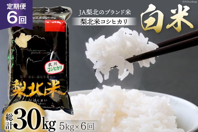 yRBszyցzy6   z  RVqJ 5kg×6 v30kg [k_Ƌg R Bs 20743672] Ђ    R  30L  ͂  Y JAk