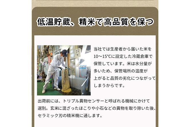【12月末まで】令和7年産 新米 京都丹波米 こしひかり10kg◇◆◇ 米 白米 ※精米したてをお届け コシヒカリ ※北海道・沖縄・離島への配送不可