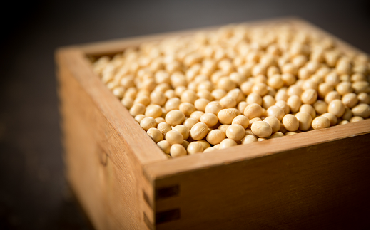 阿武隈高原の恵みセット 味噌 みそ みそ汁 味噌汁 調味料 麹 国産 おすすめ お中元 送料無料 緊急支援品 生活応援 コロナ支援 福島県 田村市 石塚味噌店 N26-P12-01