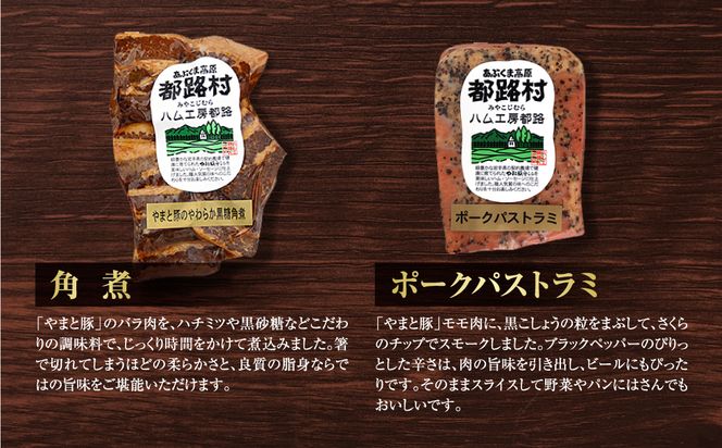 【奇数月にお届け全6回】 ハム ・ ベーコン ・ ソーセージ 詰合せ 定期便 セット やまと豚 DLG 金賞 おかず 焼くだけ のし 熨斗 ギフト プレゼント 人気 ランキング おすすめ 福島県 福島 田村市 田村 ふくしま たむら ハム工房都路　T01-H67-01