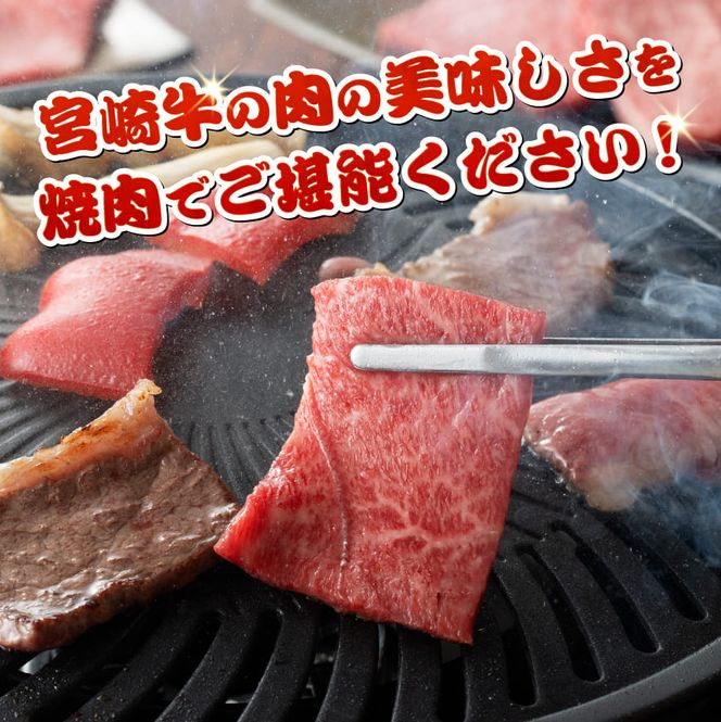 宮崎牛赤身霜降り焼肉2種 800g【肉 牛肉 国産 宮崎県産 宮崎牛 黒毛和牛 和牛 焼肉 BBQ 4等級  A4ランク 肩ロース ウデ モモ E11124】