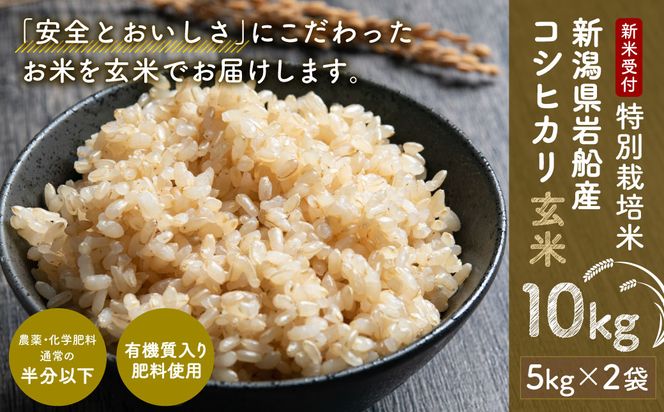 【新米受付・令和6年産米】NAB4019 特別栽培米 新潟県岩船産コシヒカリ玄米 10kg