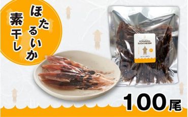 ほたるいか素干し100尾