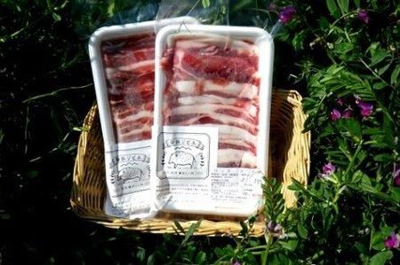 脊振ジビエ イノシシ肉スライスセット ロース＆バラ 約600g 【脊振 ジビエ イノシシ肉 ロース バラ】(H044123)