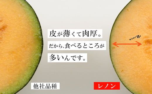 【先行予約】レノンハート2個　※離島への配送不可　※2026年5月下旬～6月下旬頃に順次発送予定