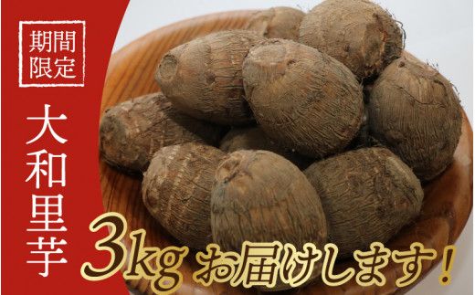 【先行予約】さといも 大和里芋（やまと）３kg【11月上旬以降順次発送】