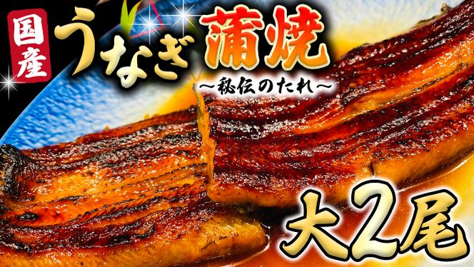 国産 うなぎ 蒲焼 大サイズ 2尾 【 日本料理 ひたち野いしざき 秘伝 の たれ焼き 】 鰻 ウナギ おいしい 美味しい 蒲焼き かばやき 丑の日 土用の丑の日 土用 グルメ おかず お取り寄せ お土産 贈り物 贈答 お祝い 記念日 ギフト 茨城 魚 [BO001us]