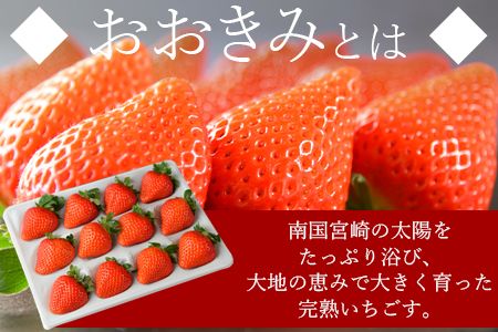 ＜高級いちご「おおきみ」（9～12粒×1パック約380g以上）＞2025年1月上旬～4月末迄に順次出荷【a0283_sn_x1】