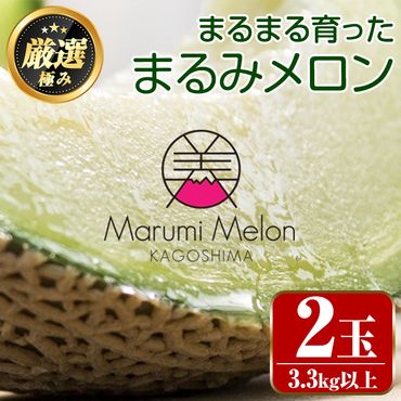 【0202201a】まるまる育ったまるみメロン(2玉・計3.3kg以上)【まる美園芸組合】