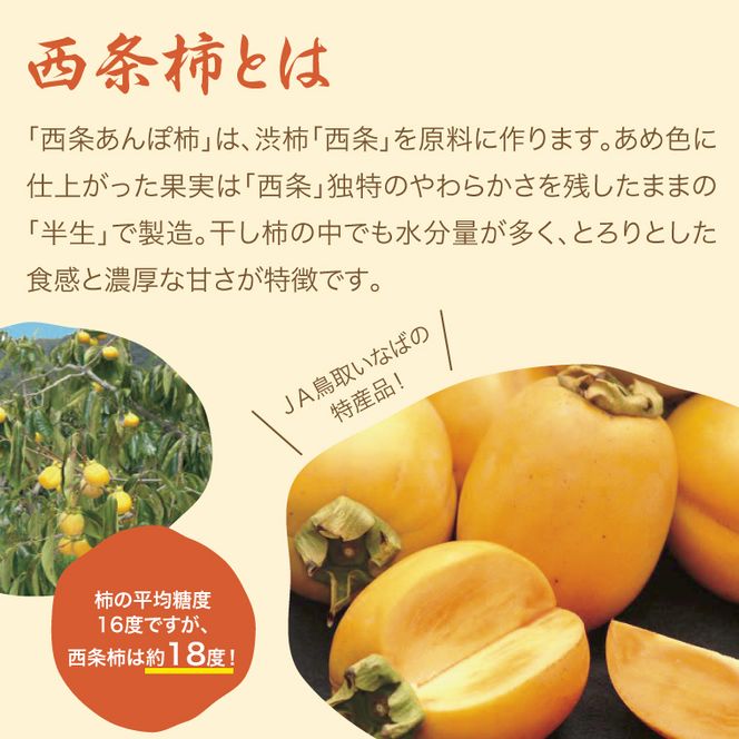 0289 西条あんぽ柿(鳥取いなば農業協同組合)