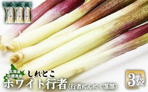 行者にんにく ホワイト行者 茎部 3袋 オンライン 申請 ふるさと納税 北海道 中標津 行者ニンニク 幻の山菜 山菜 山の幸 野菜 疲労回復 健康効果 長寿 体力増強 ダイエット効果 揚げ物 炒め物 醤油漬け おかず 冷凍 長期保存可能 中標津町【20012】