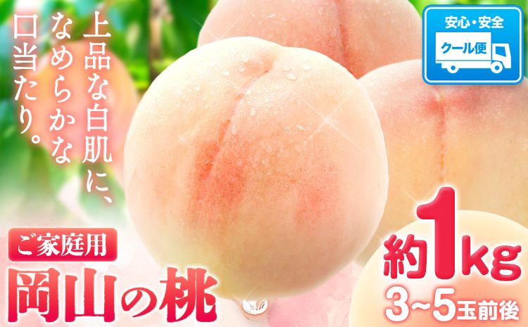 [令和7年度出荷 先行予約]桃 岡山の桃 約1kg(3~5玉前後)[2025年6月下旬-9月上旬頃出荷] ご家庭用 訳あり 白桃 岡山 はくとう スイーツ フルーツ 果物 デザート 旬 モモ もも 先行予約 送料無料 果物 岡山県 笠岡市 清水白桃 白鳳 白麗 クール便---kasaoka_zsy_1_1---