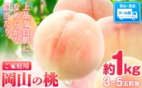 【先行予約】桃 岡山の桃 約1kg(3~5玉前後)《2026年6月下旬-9月上旬頃出荷》 ご家庭用 訳あり 白桃 岡山 はくとう スイーツ フルーツ 果物 デザート 旬 モモ もも 先行予約 送料無料 果物 岡山県 笠岡市 清水白桃 白鳳 白麗 クール便---kasaoka_zsy_149_1---