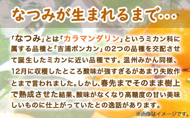 ＜先行予約＞初夏のみかん なつみ約5kg 株式会社 魚鶴商店《2025年4中旬-5上旬頃出荷》 和歌山県 日高町 みかん なつみ 南津海 柑橘 果物 フルーツ 送料無料---wsh_utsntm_g4_22_14000_5kg---