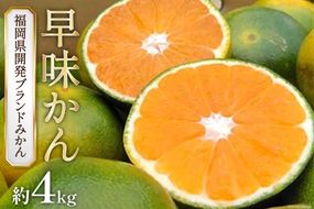 【期間限定発送】福岡のブランド オリジナル 極早生みかん「早味かん」約4kg[南国フルーツ 福岡県 筑紫野市 21760792]