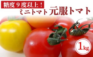 赤崎元服トマト フルーツトマト 1kg 野菜 ミニトマト [56500347]