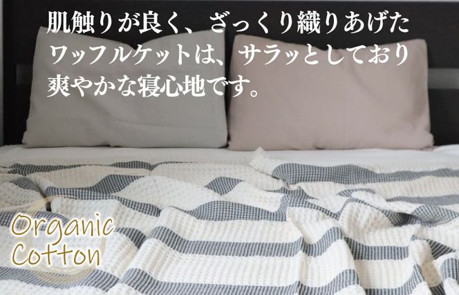 G1976 【スピード発送】オーガニック100% 泉州南部織 フルオーガニックコットン ワッフルケット