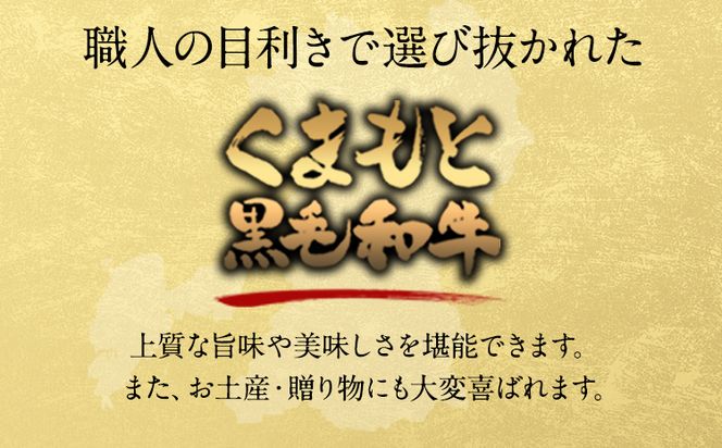 牛肉 くまもと黒毛和牛 すき焼き用 500g 定期便 2回 5回 1000g 株式会社KAM Brewing《30日以内に出荷予定(土日祝除く)》---so_fantkwsk_30d_24_20000_500g---