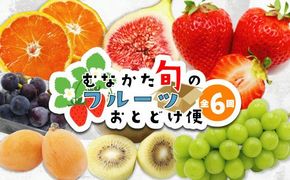 【定期便/年6回】むなかた旬のフルーツ6回定期便【ほたるの里】_HB0090