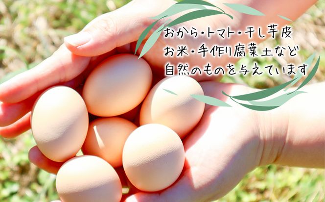 【定期便】土佐ジローたまご　　1箱(36個入)×6回（4週間毎）