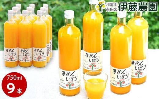 636.伊藤農園 100%ピュアみかんジュース大瓶750ml×9本セット(A636-2)