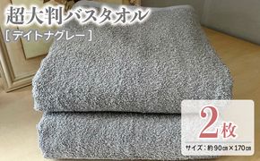 020C468 超大判バスタオル2枚セット（デイトナグレー）泉州タオル 90×170cm【泉州タオル 国産 吸水 普段使い 無地 シンプル ファミリー】