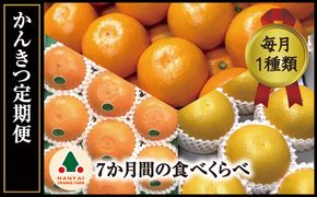 頒布会 有田かんきつ 定期便 7ヶ月間 南泰園 みかん  BS802
