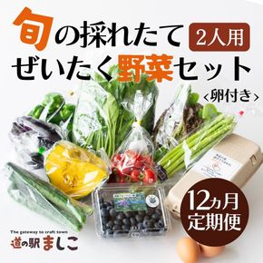 ＜12ヶ月定期便＞旬の採れたてぜいたく野菜セット（卵付き）2人用 益子町 ふるさと納税 野菜セット 野菜 やさい セット 採れたて 卵 たまご 定期便(AA035)
