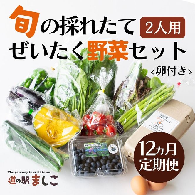 AA035 ＜12か月定期便＞旬の採れたてぜいたく野菜セット（卵付き）2人用　定期便 12カ月 野菜 やさい セット 旬 採れたて 卵 2人用 2人前 贅沢 ぜいたく 10個入り1パック