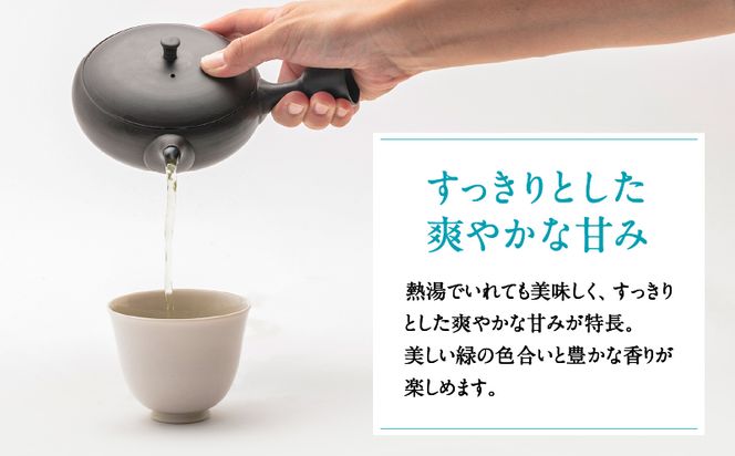 【新茶】【2024年6月30日までの申込限定】茶問屋のあまくておいしい鹿児島茶ティーバッグ　3本セット～　K112-007_shincha