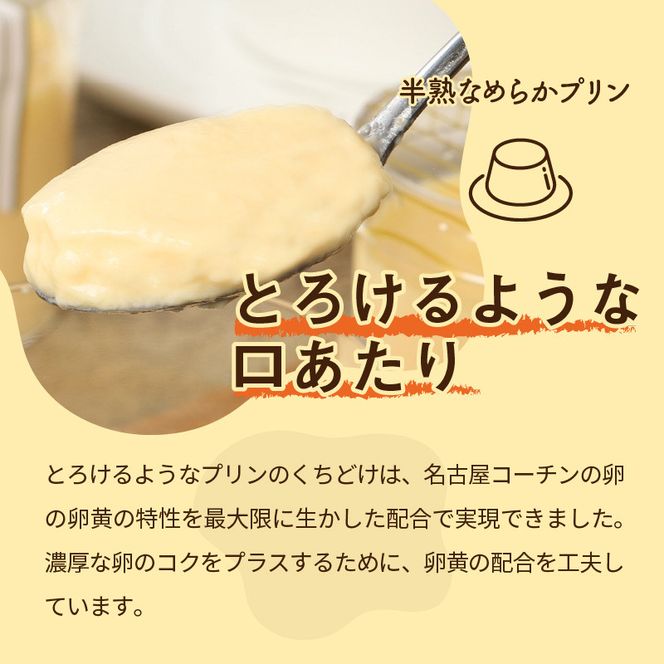 名古屋コーチン卵の半熟なめらかプリン＆クリームチーズケーキ[020N01]