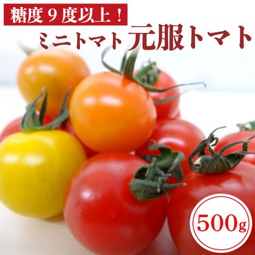 赤崎元服トマト フルーツトマト 500g 野菜 ミニトマト [kata003]	