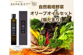 【数量限定】自然栽培野菜とKANDANオリーブオイル180gセット（陽だまり）　DZ00019