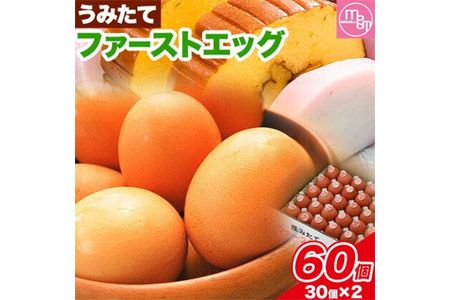 卵 たまご 赤玉 ファーストエッグ 60個[90日以内に出荷予定(土日祝除く)]株式会社めぐみ 岡山県 浅口市 送料無料 30個 × 2セット 食卓 産みたて 初卵 希少---124_86_90d_23_16500_s---