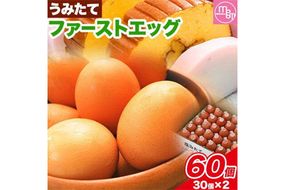 卵 たまご 赤玉 ファーストエッグ 60個《90日以内に出荷予定(土日祝除く)》株式会社めぐみ 岡山県 浅口市 送料無料 30個 × 2セット 食卓 産みたて 初卵 希少---124_86_90d_23_16500_s---