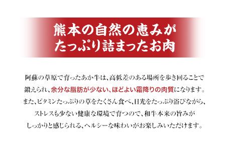 肥後のあか牛（熊本県産）すき焼き用1000g 南阿蘇食品《90日以内に出荷予定(土日祝除く)》---sms_fmashgsk_90d_24_26000_1kg---