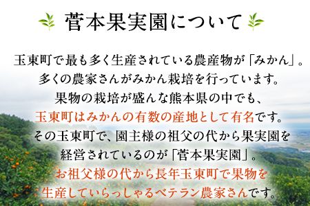 『菅本果実園』こだわりの手搾りみかんジュースセット 太陽の雫530ml×1本 早生の極み530ml×1本《11月下旬-4月末頃出荷》  熊本県玉名郡玉東町---sg_mikanju_cf114_25_17500_2i---