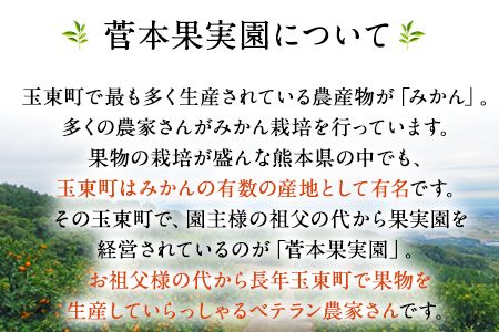 『菅本果実園』こだわりの手搾りみかんジュースセット 太陽の雫530ml×1本 早生の極み530ml×1本《11月下旬‐4月末頃出荷》  熊本県玉名郡玉東町---sg_mikanju_cf114_24_18500_2i---