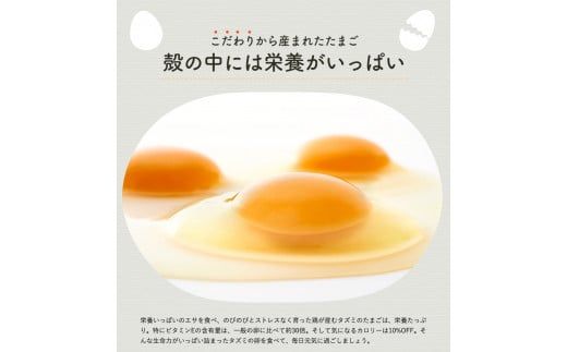 008AB01N.タズミの卵Ｍサイズ（30個）