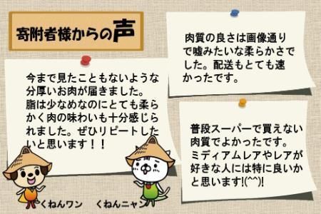 佐賀牛ヒレシャトーブリアン200g×5枚【ステーキ ヒレ 冷凍 A4 A5 赤身 牛肉 希少部位 ブランド牛 送料無料 人気 ランキング 佐賀県産 黒毛和牛】(H065119)