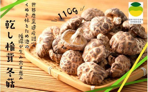 乾し椎茸 冬菇110g（国東半島宇佐地域世界農業遺産ブランド認証品）_1887R