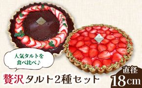 【2026年1月～発送】【舌にあふれる季節感♪こだわりのサクサクタルト】苺のWチーズ 生チョコムースタルト 2種 セット / タルト チョコ チーズ いちご 南島原市 / アトリエジジ [SAA013]